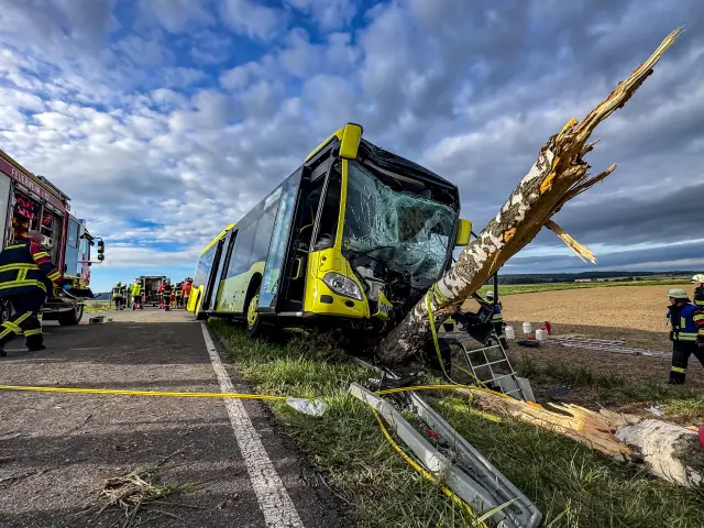 Der Bus krachte über eine Leitplanke und entwurzelte sogar einen Baum